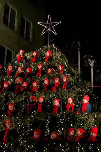 2015-12-19-christmas tree-069